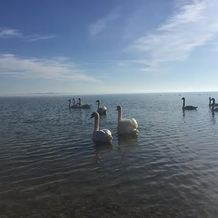 Szofi Σπίτι διακοπών Balatongyörök
